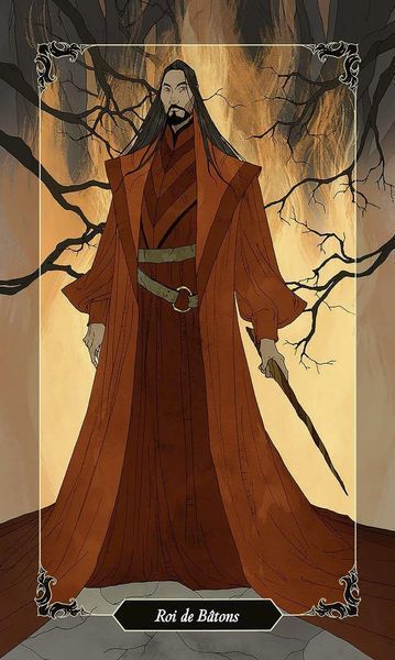 Подарочный набор таро - Темного Леса, Dark Wood Tarot, книга + карты (Elf) OP-E-243 фото