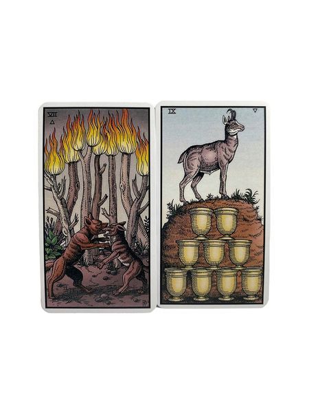 Карты таро &ndash; Алхимическое, Роберта Плейса (Alchemical Tarot) (Elf) OP-E-263 фото